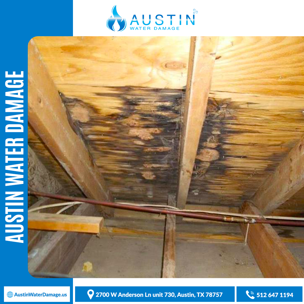Water-Damage-Austin-Restoration-Company-18