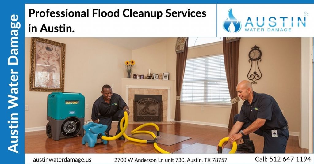 Professional Flood Cleanup Services in Austin.