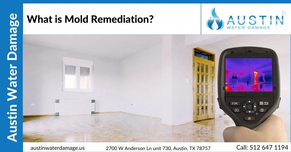 What is Mold Remediation