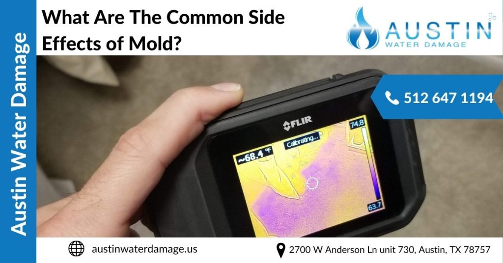 What Are The Common Side Effects of Mold